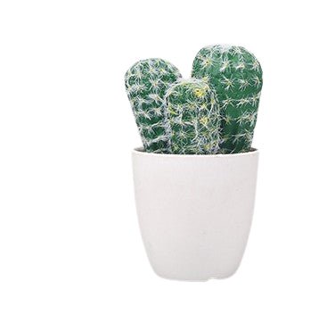 Fake Cactus - Yorkn Inc✅