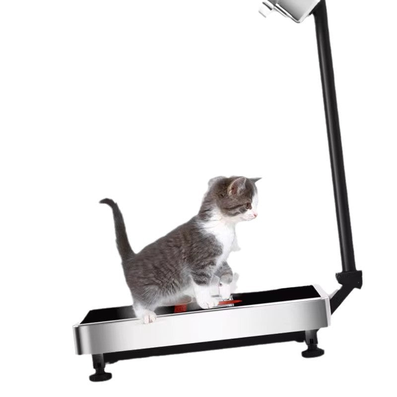 Folding Electronic Scale - Yorkn Inc✅