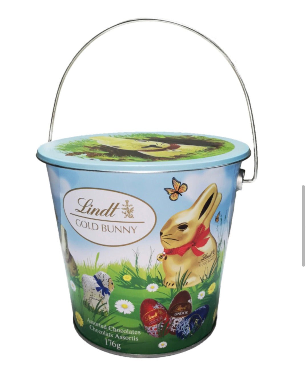 Metal Bucket - Yorkn Inc✅