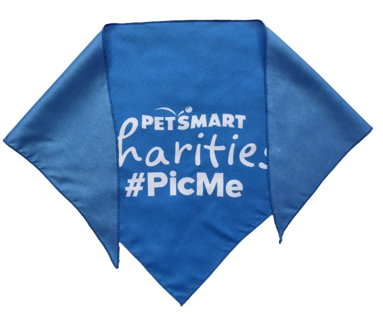 Polyester Triangle Bandanna - Yorkn Inc✅