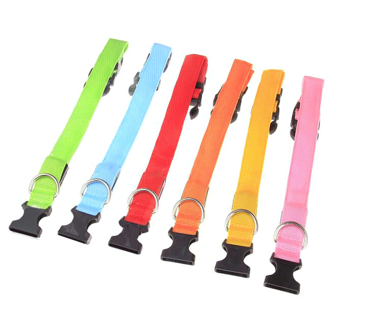Collier LED pour chien 