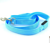 Laisse pour chien 
