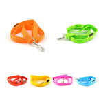 Laisse pour chien 