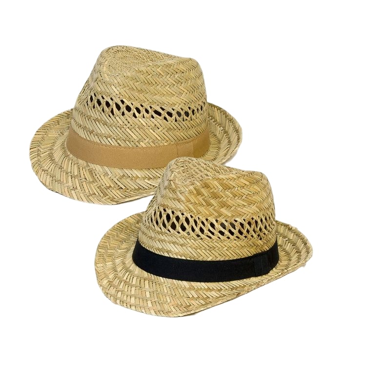 Chapeau de plage en paille 