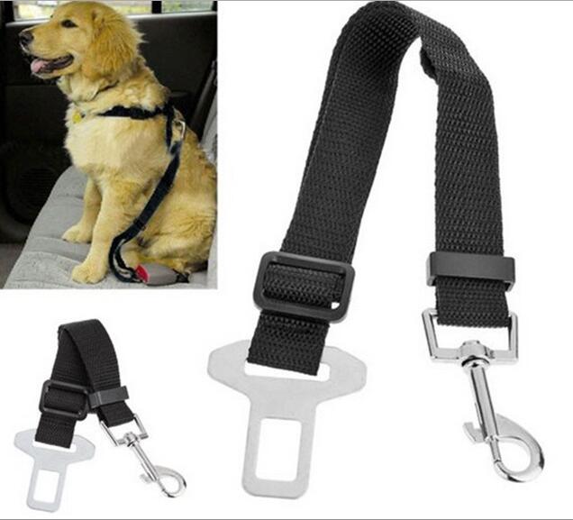 Laisse pour chien pour voiture 