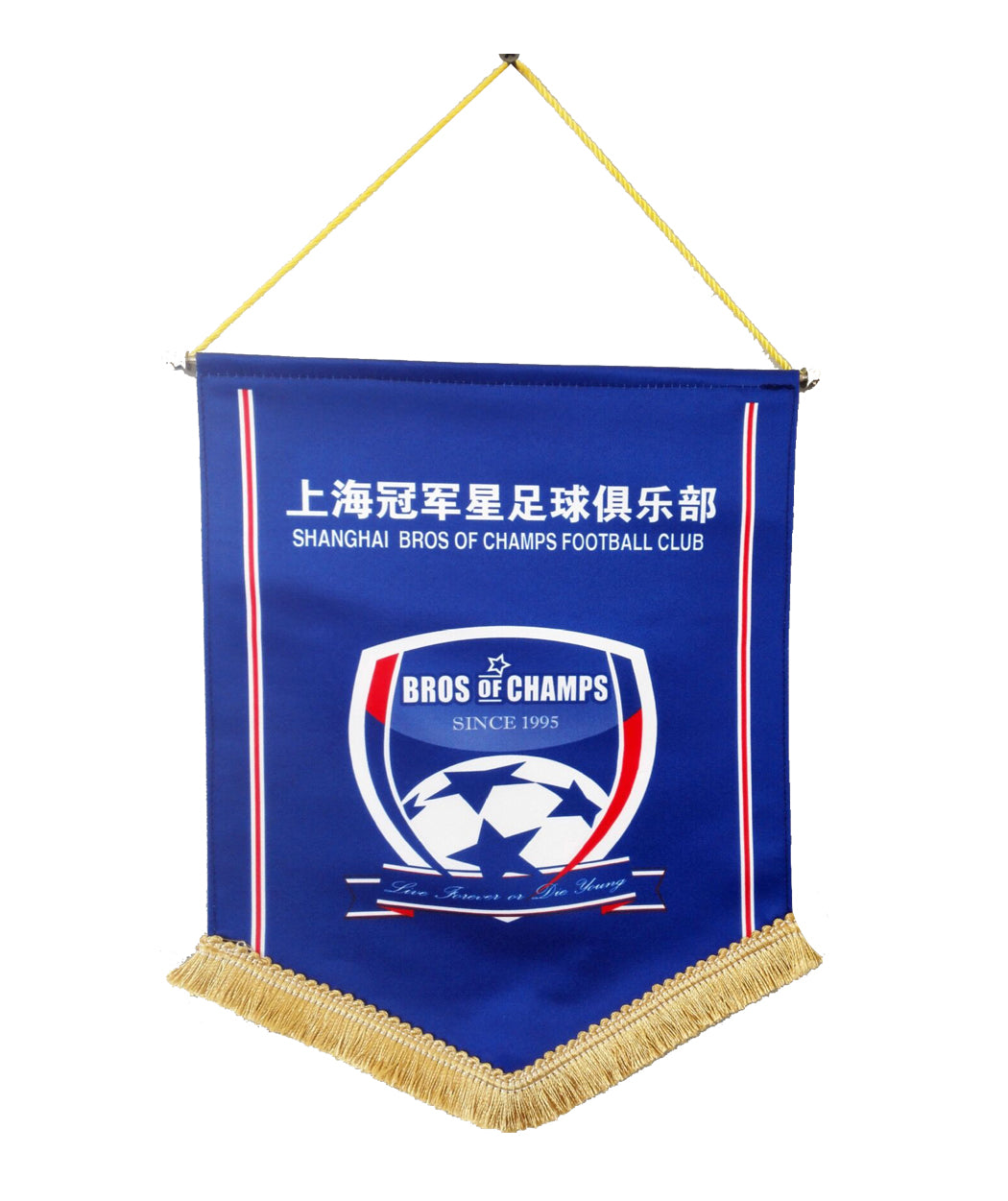 Drapeau fanion 