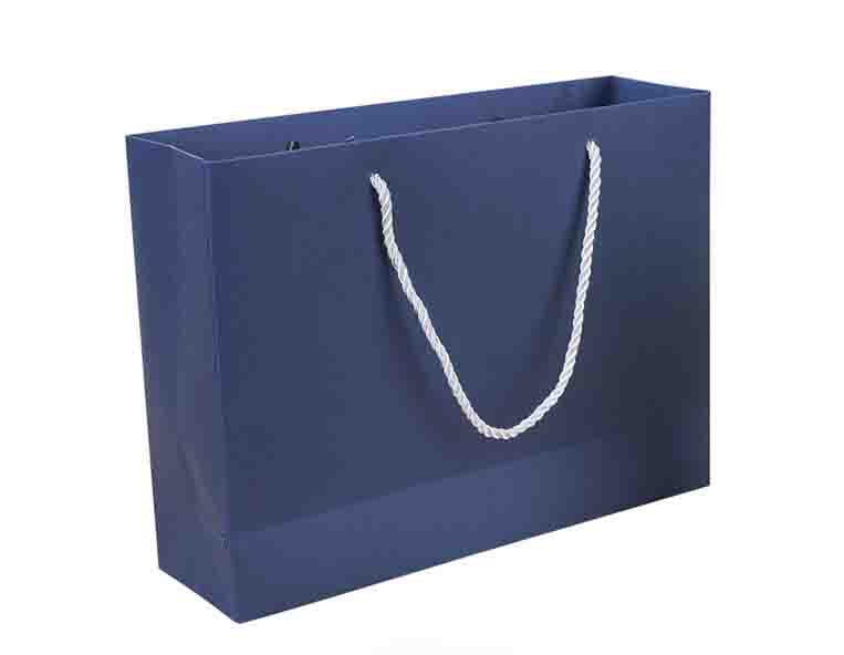Sacs cadeaux avec poignées 