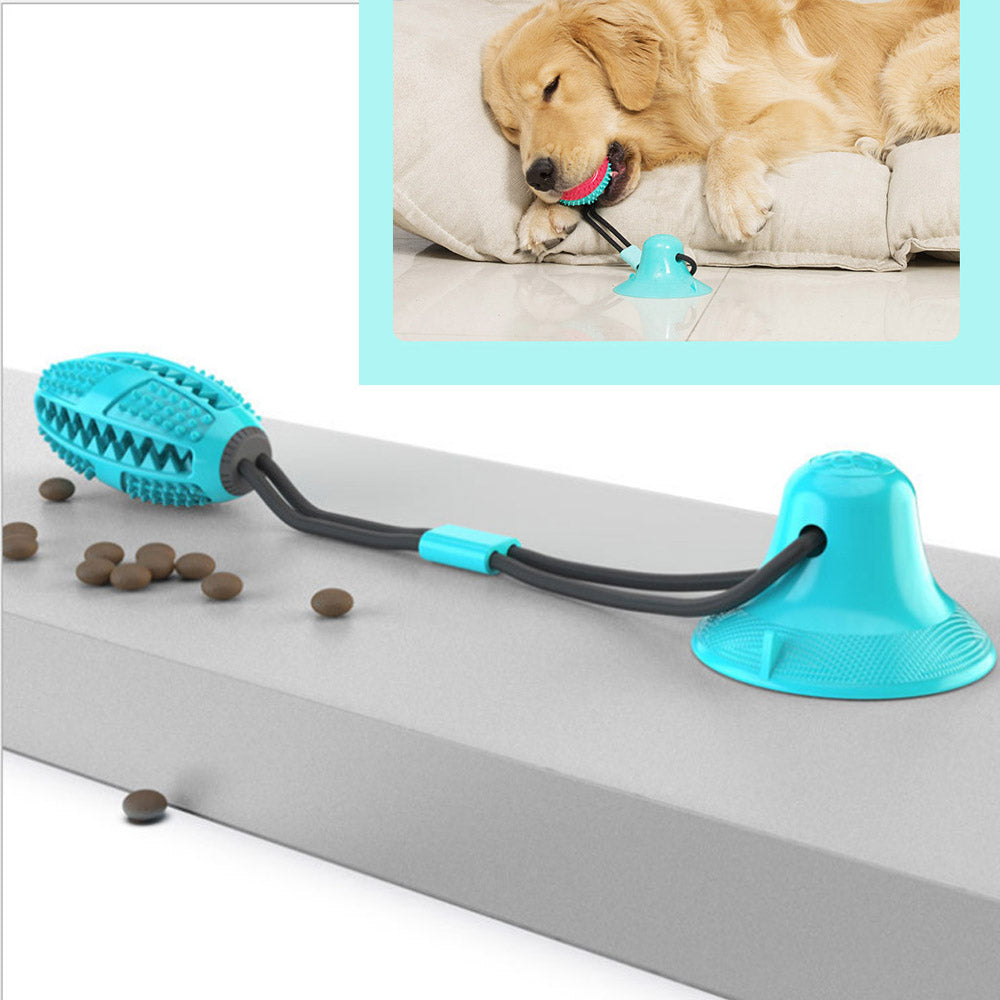 Jouet interactif à ventouse pour chien 