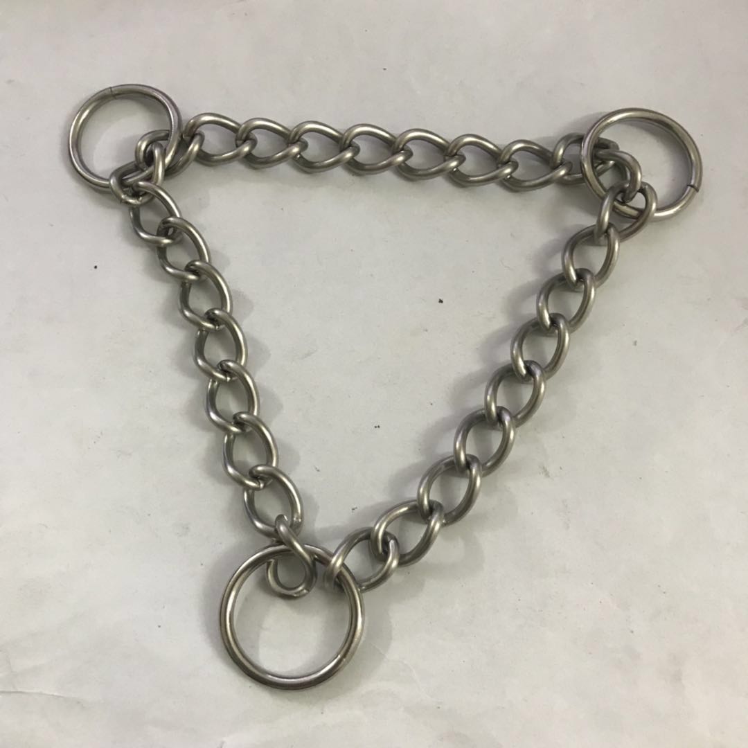 Accessoire pour laisse de chien 