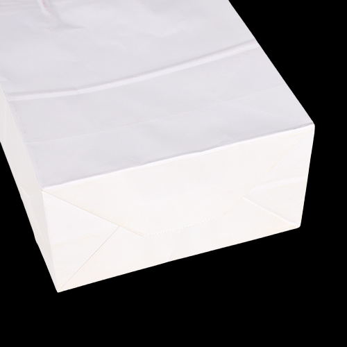 Sac en papier kraft blanc 