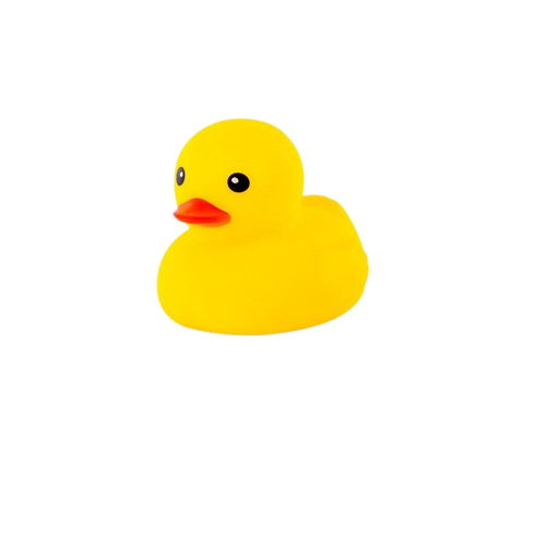 Yellow Rubber Duck