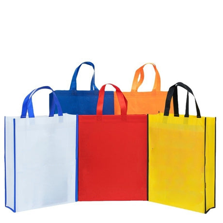 24x19" 80gsm Non Woven Bag
