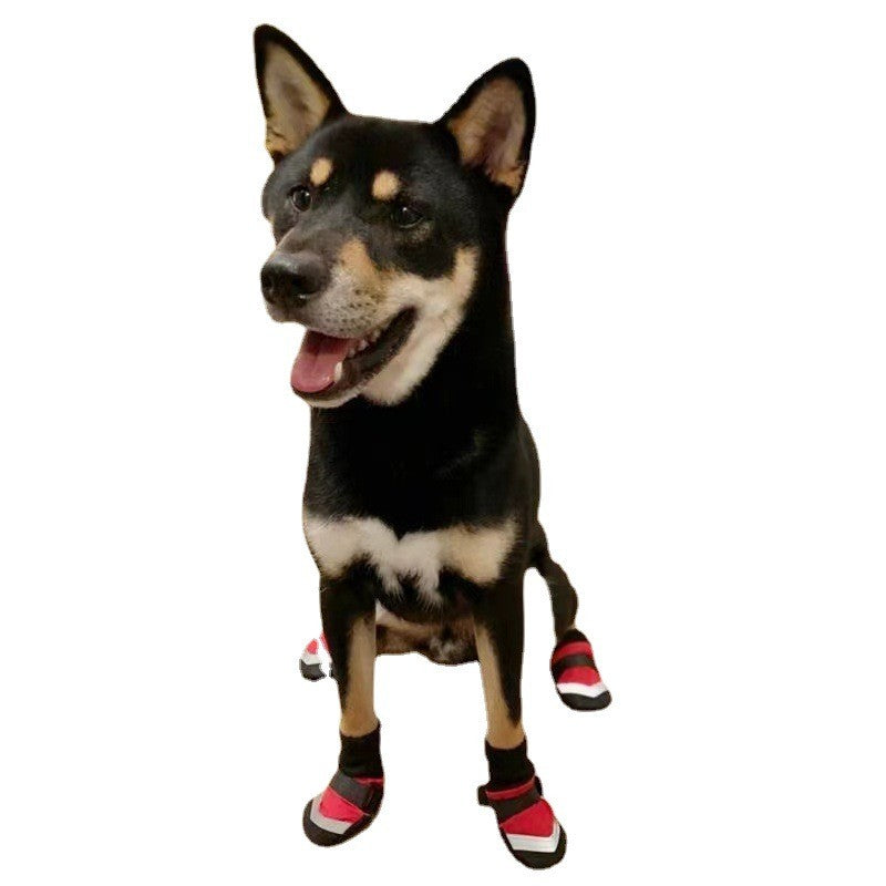 Chaussures pour chien taille S 