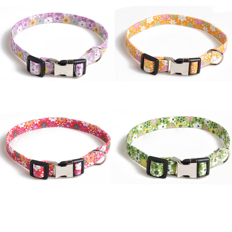 Collier pour chien 