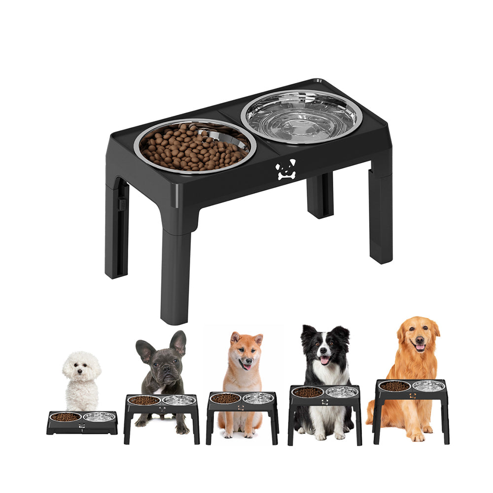 Gamelles surélevées pour chiens 