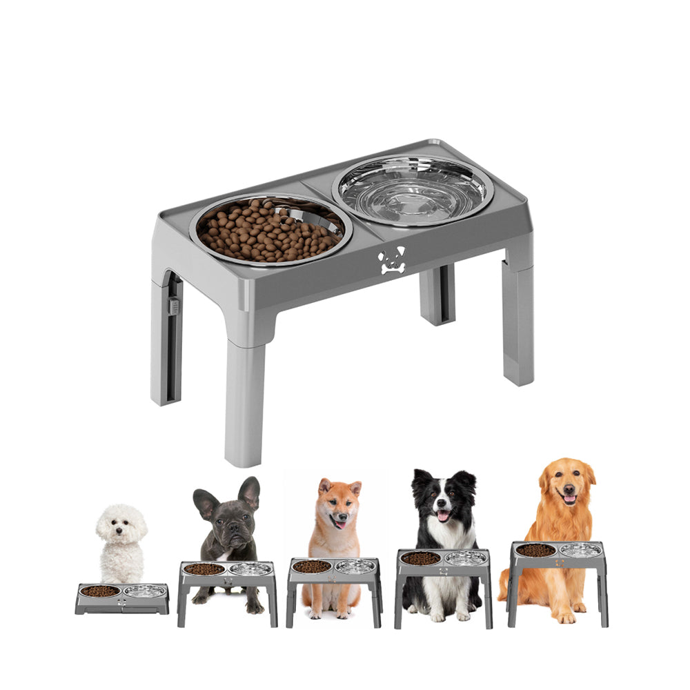 Gamelles surélevées pour chiens 