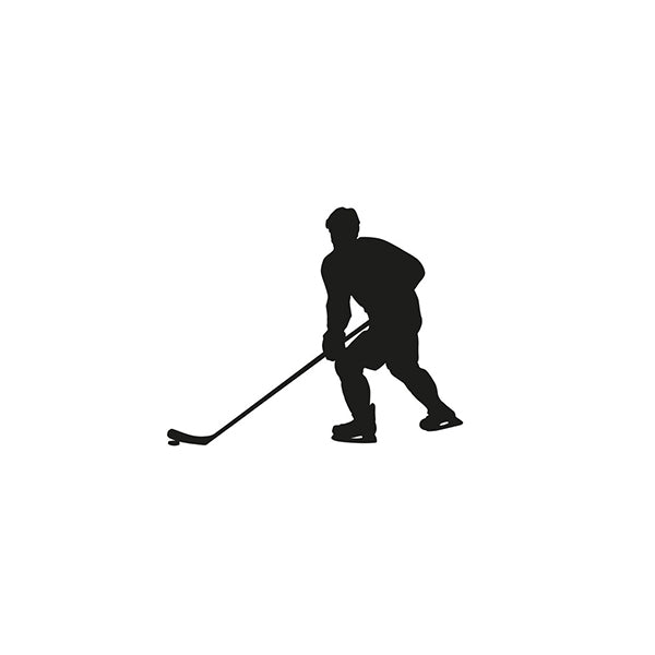 Rondelle de hockey sur glace 
