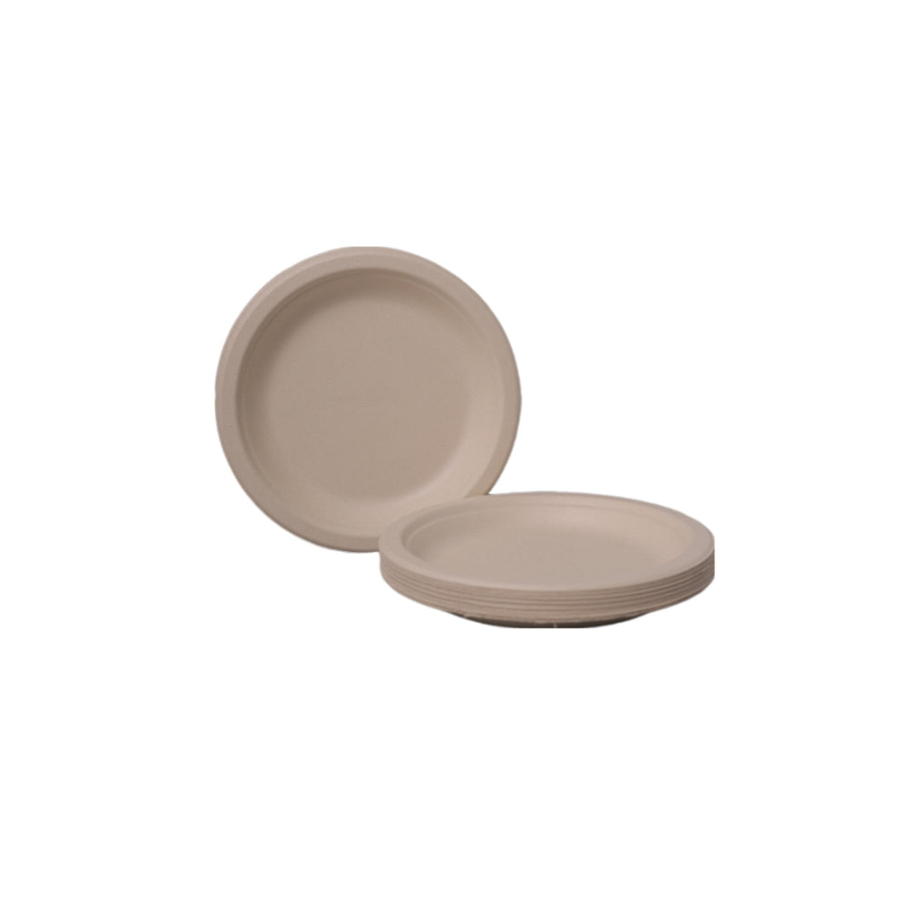 10 Inch Paper Plate