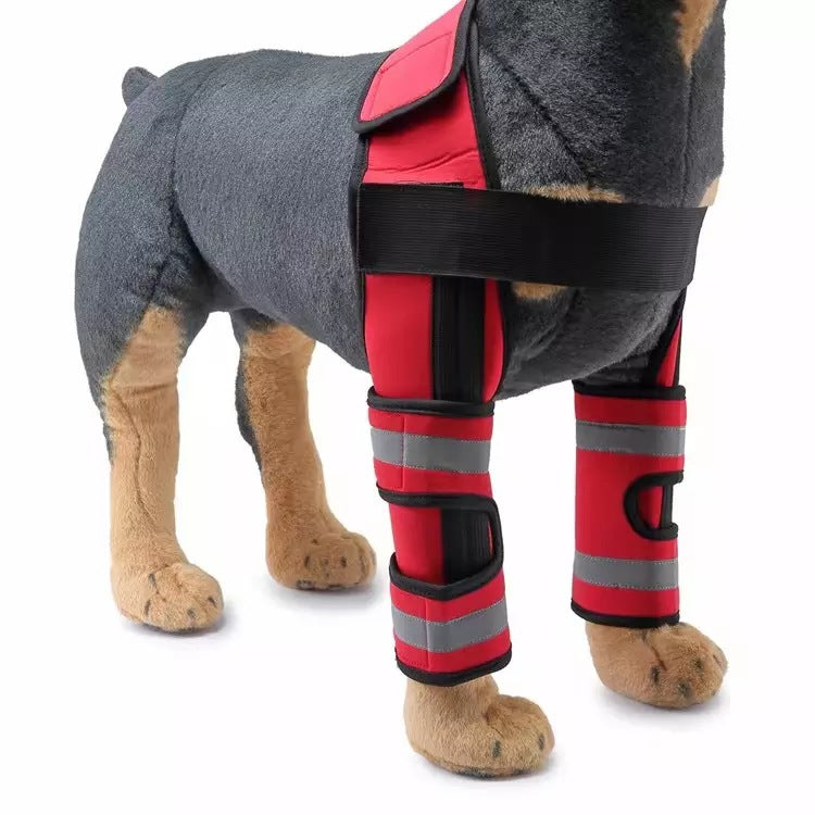 Genouillère double pour chien 