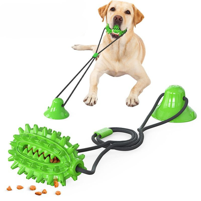 Jouets à mâcher à ventouse pour chien 