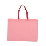 Economic Shopping Bag With Handle