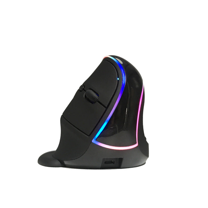 Souris ergonomique sans fil avec support pour la main 