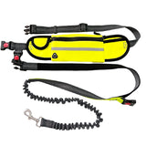 Sac banane avec laisse pour chien 