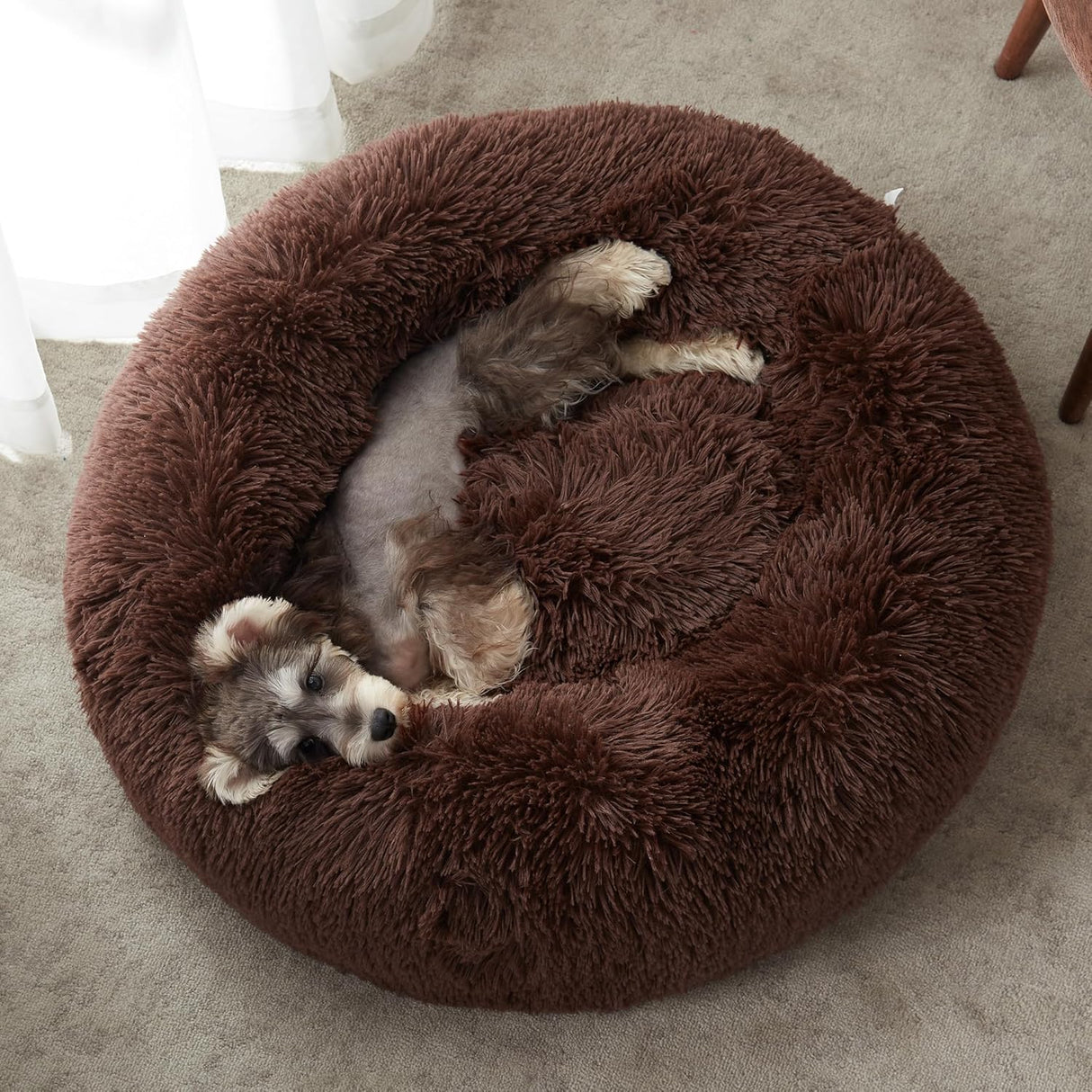 Lit pour chien et chat 