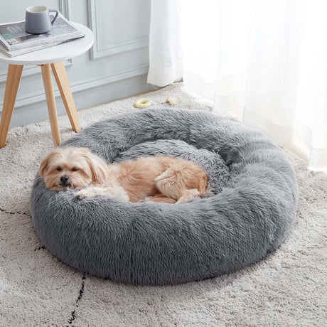 Dog & Cat Bed - Yorkn Inc✅