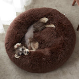 Dog & Cat Bed - Yorkn Inc✅