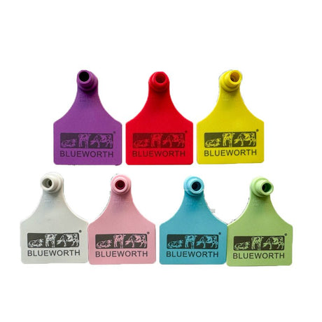 Ear Tag Key Chains - Yorkn Inc✅