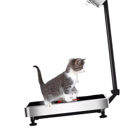 Folding Electronic Scale - Yorkn Inc✅