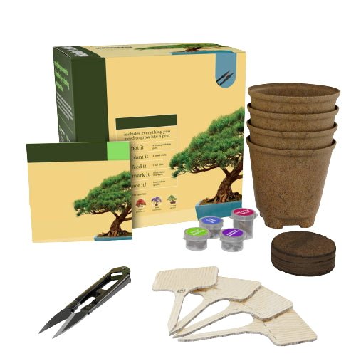Herbs Growing Kit - Yorkn Inc✅