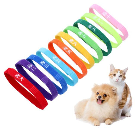 Identi - pet 12 Whelping Collars - Yorkn Inc✅