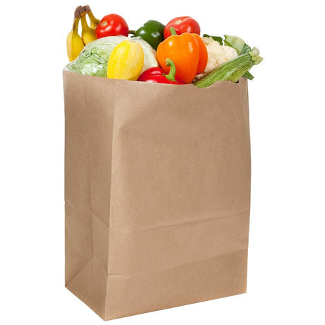 Kraft Brown Paper Bag Without Handle - Yorkn Inc✅