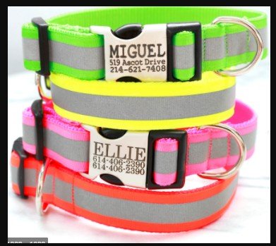 Medium Dog Collars - Yorkn Inc✅