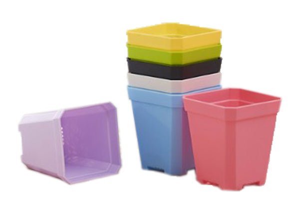 Mini Square Plastic Plant Flower Pot Home Office Decor Planter Colorful - Yorkn Inc✅