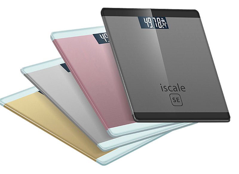 Plastic Scale - By Boat - Yorkn Inc✅