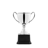 Souvenir Trophy - Yorkn Inc✅