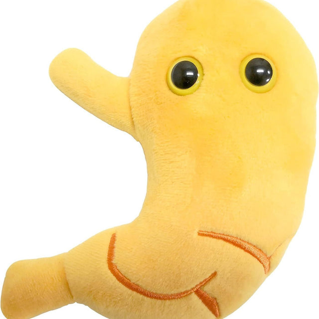 Stomach Plush Toy - Yorkn Inc✅